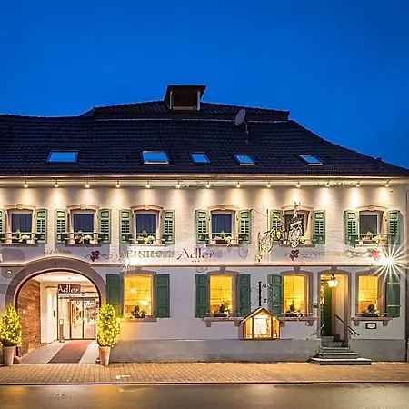 Weinhotel Adler 恩丁根
